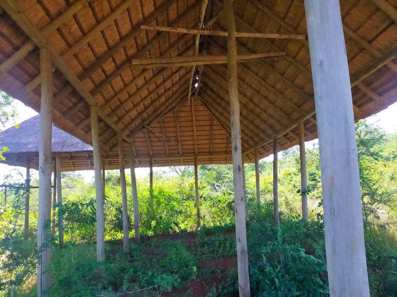 An open-air structure featuring a thatched roof supported by timber poles, currently surrounded by overgrown vegetation on the vacant commercial land.