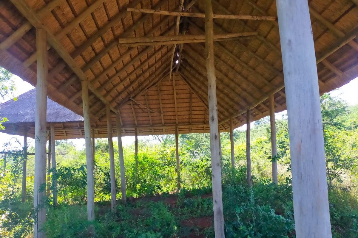 An open-air structure featuring a thatched roof supported by timber poles, currently surrounded by overgrown vegetation on the vacant commercial land.