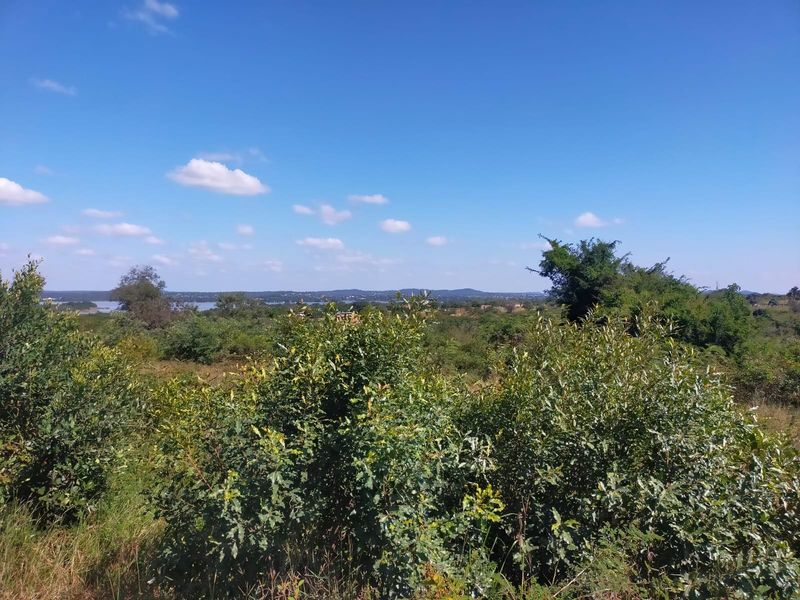 A scenic view of the natural landscape and surrounding vegetation on the vacant commercial land.