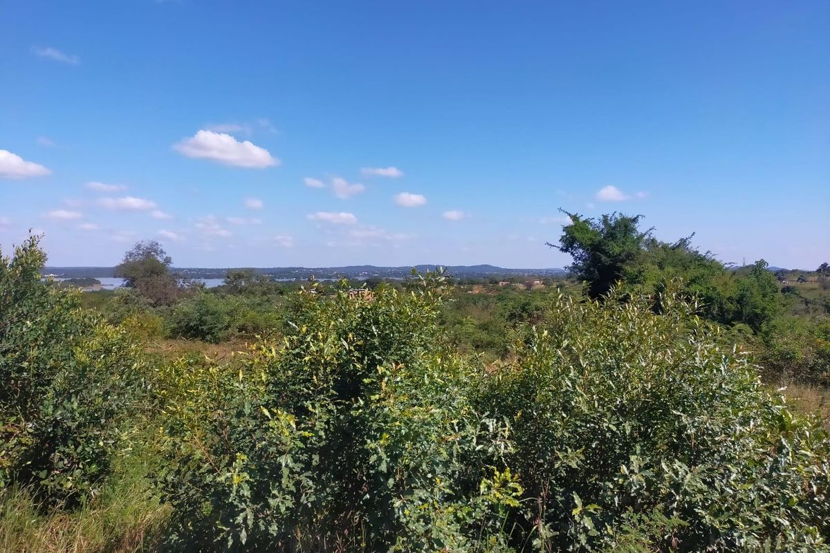A scenic view of the natural landscape and surrounding vegetation on the vacant commercial land.