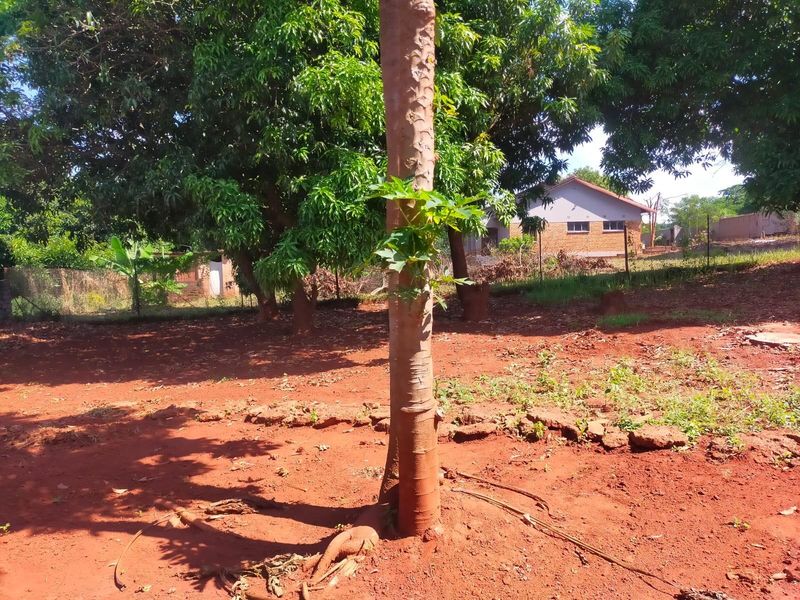 Land For Sale in Maungani, Thohoyandou Rural - Photo 8