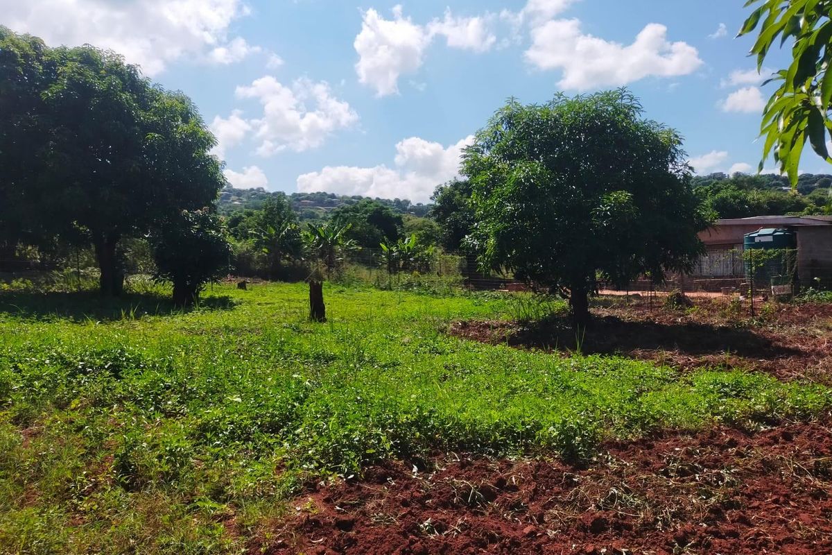 Land For Sale in Maungani, Thohoyandou Rural - Photo 2