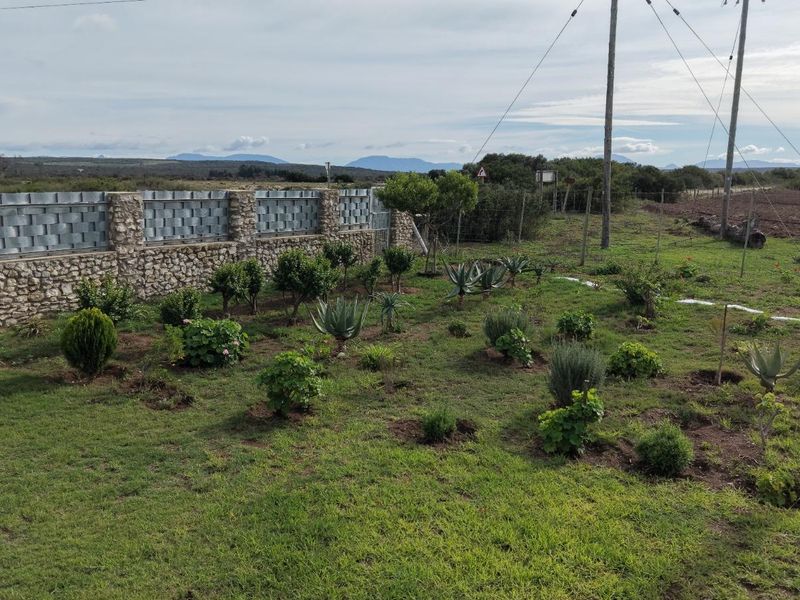 A Peaceful Rural Escape with Dual Living Potential - Photo 8