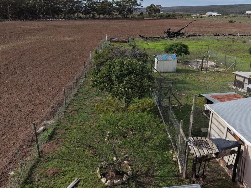 A Peaceful Rural Escape with Dual Living Potential - Photo 7