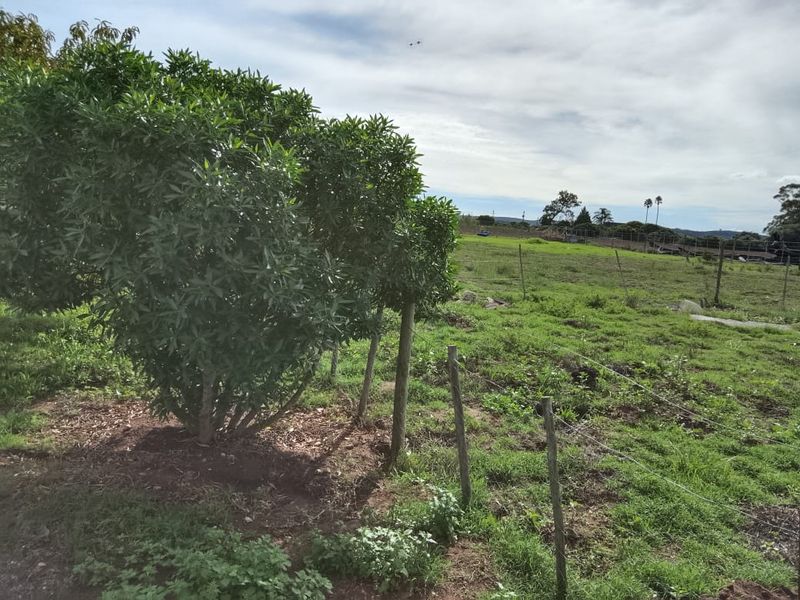 A Peaceful Rural Escape with Dual Living Potential - Photo 10