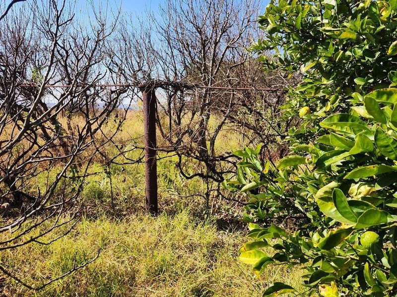 Farm For Sale in Doornkraal, Cullinan Rural, Cullinan - Photo 10