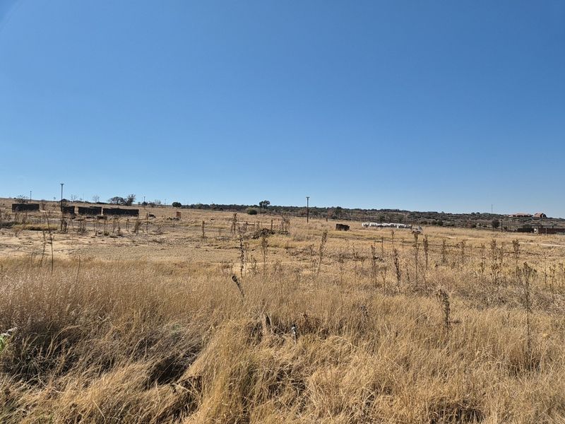 A wide-angle view of a vacant residential plot featuring dry grass and utility poles under a clear blue sky.