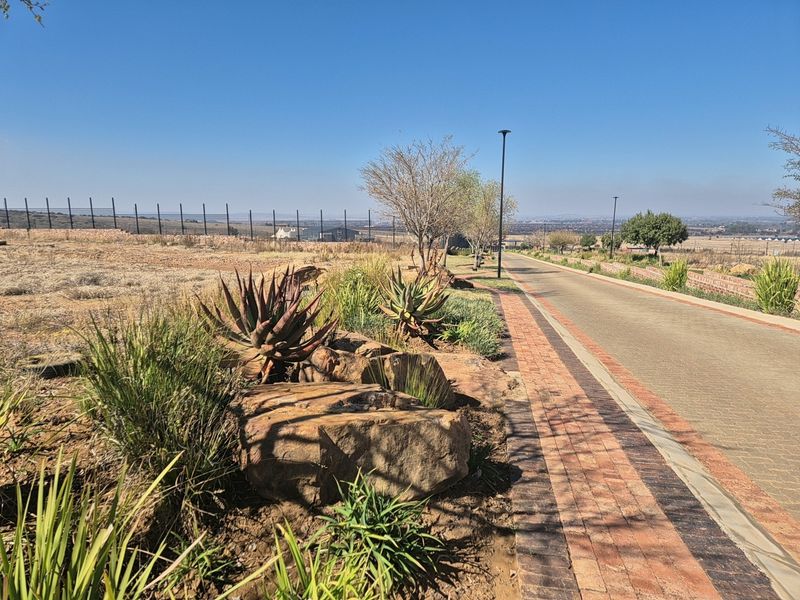 A view of the paved residential street and landscaped verge within the estate, featuring established plantings and perimeter fencing.