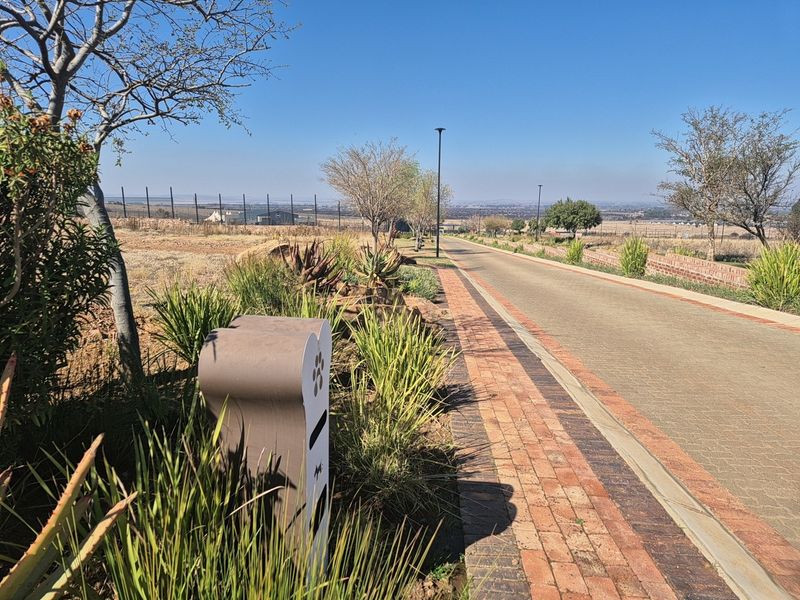A well-maintained residential street view featuring paved driveway, brick borders, established landscaping, and perimeter fencing within a secure estate setting.