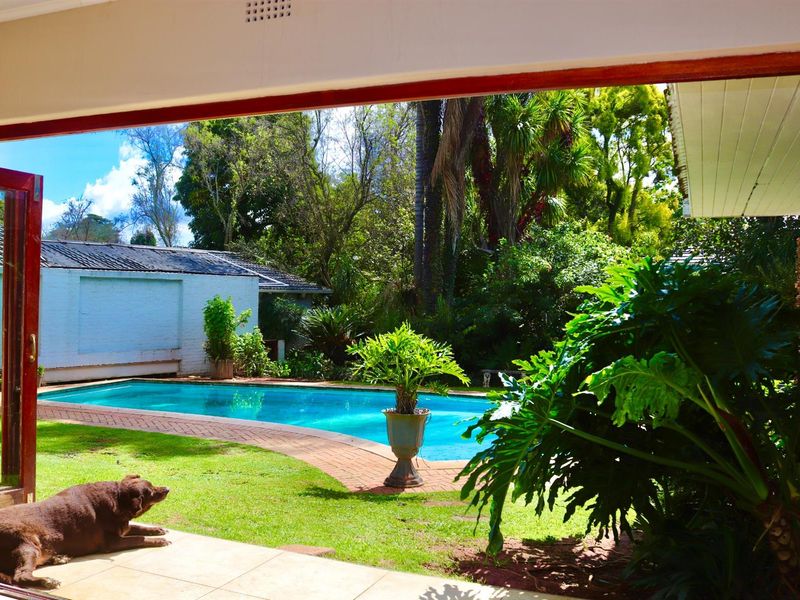 Three Homes. One Exceptional Opportunity. - Photo 10