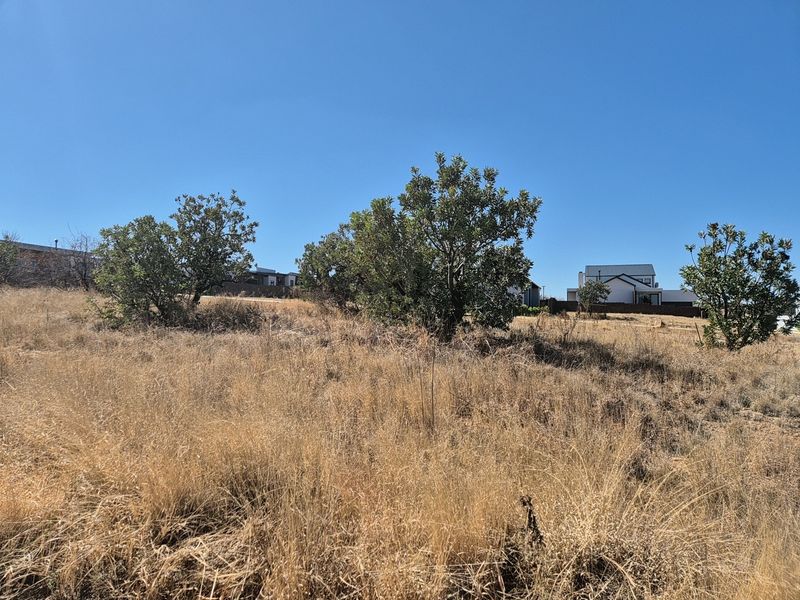 A view of a vacant residential plot featuring dry grass and established trees, with neighboring properties visible in the background.