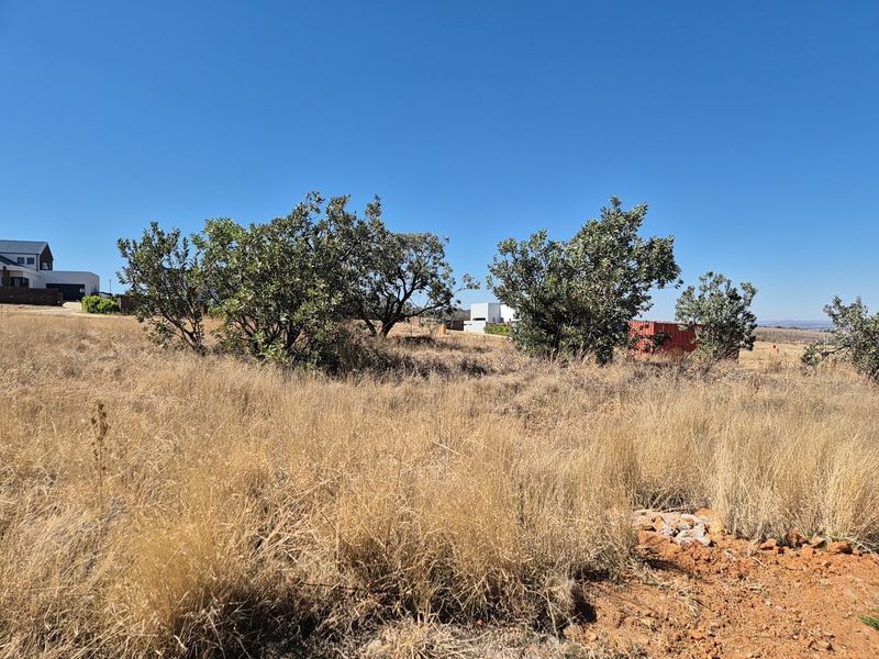 A view of a vacant residential plot featuring natural dry grass and established indigenous trees under a clear blue sky.