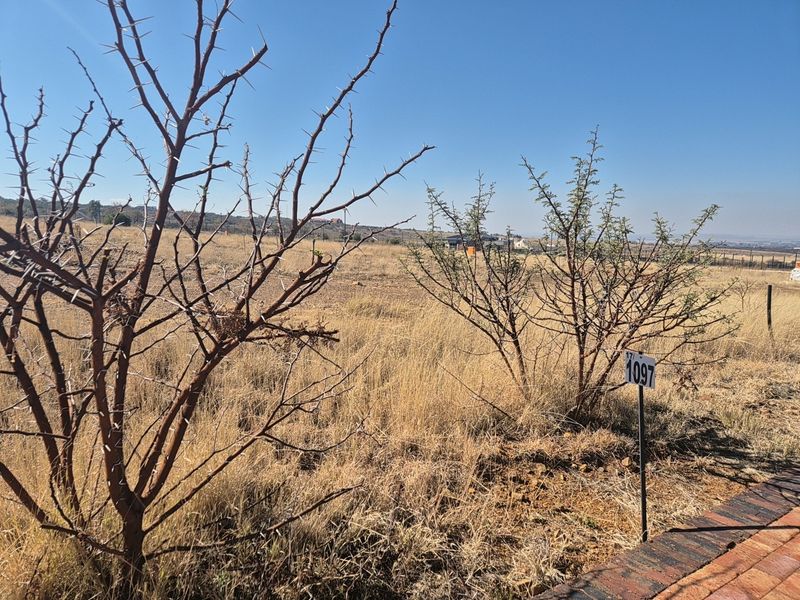 A view of a vacant residential plot featuring dry grass, native trees, and a property boundary marker.