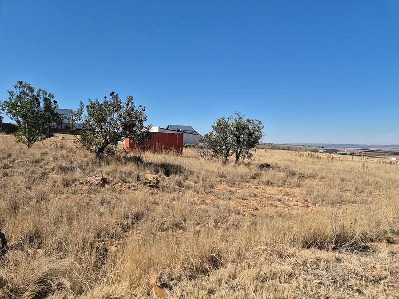 A view of a vacant residential plot featuring natural dry grass, scattered trees, and rocky terrain under a clear blue sky.