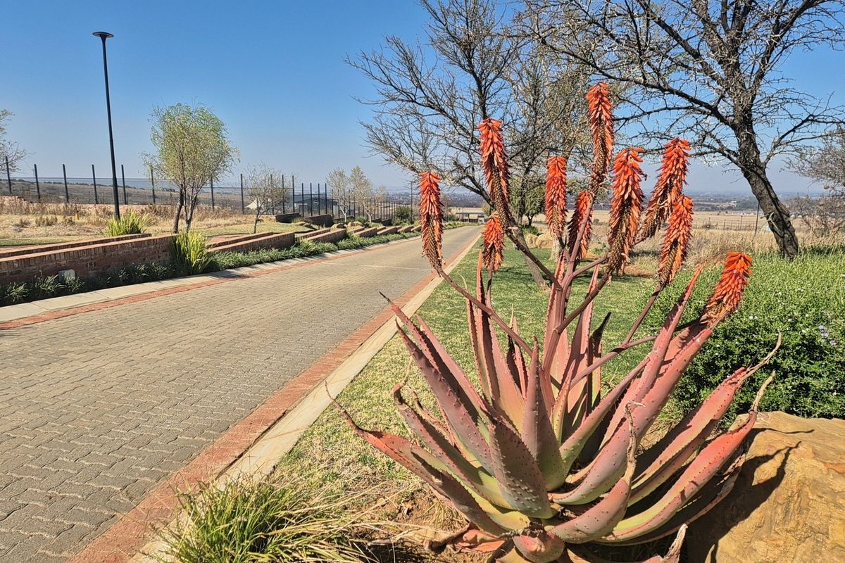 A well-maintained paved driveway leading through the residential estate, featuring established landscaping, brick retaining walls, and perimeter security fencing.