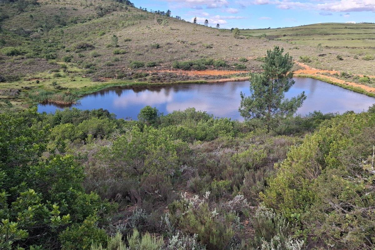 Farm For Sale in Riversdale Rural, Riversdale - Photo 4