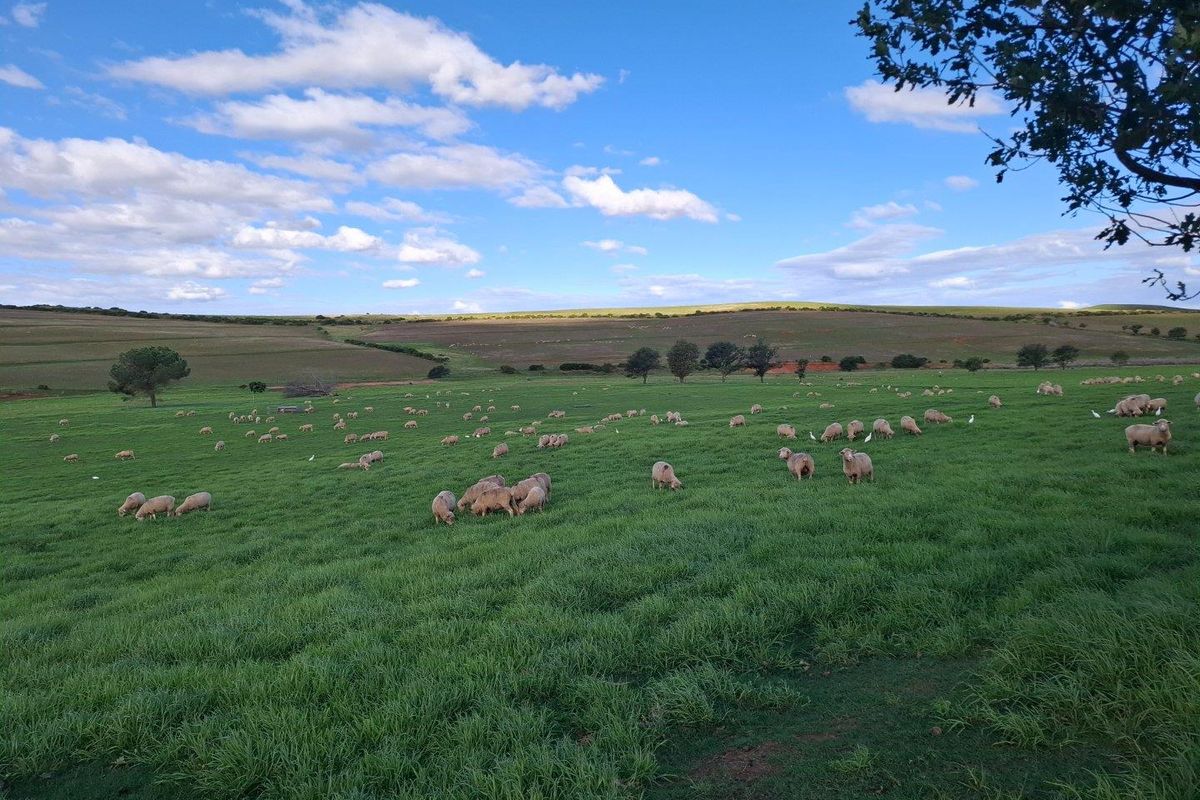Farm For Sale in Riversdale Rural, Riversdale - Photo 2