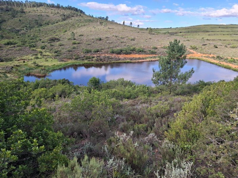 A scenic view of a natural farm dam surrounded by rolling hills and indigenous vegetation.