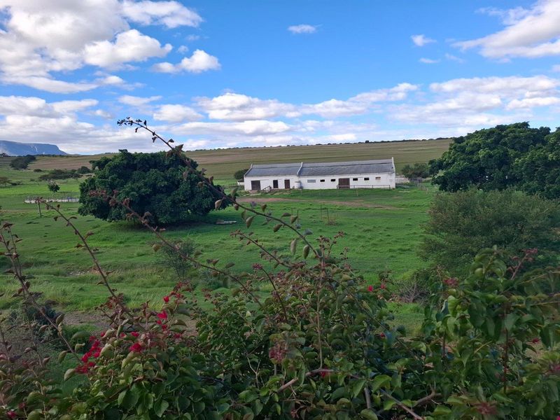 A scenic view of a traditional white farm building set within a vast, green rural landscape under a bright blue sky.