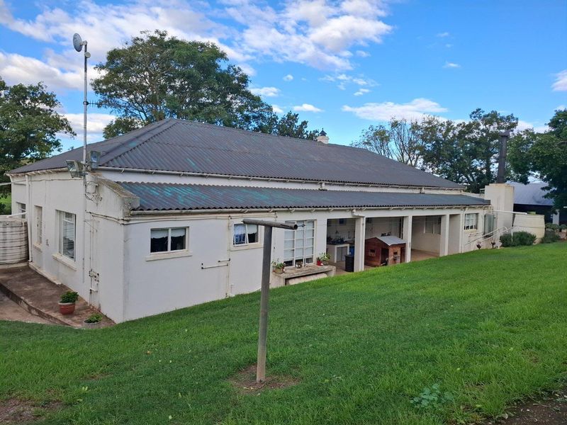 Rear view of a farm-style dwelling featuring a covered patio area, corrugated roof, and surrounding lawn.
