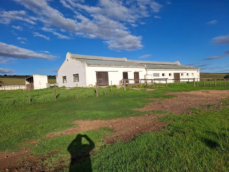 A rural farm building featuring a long, single-story structure with multiple access points, set within a large open pasture.