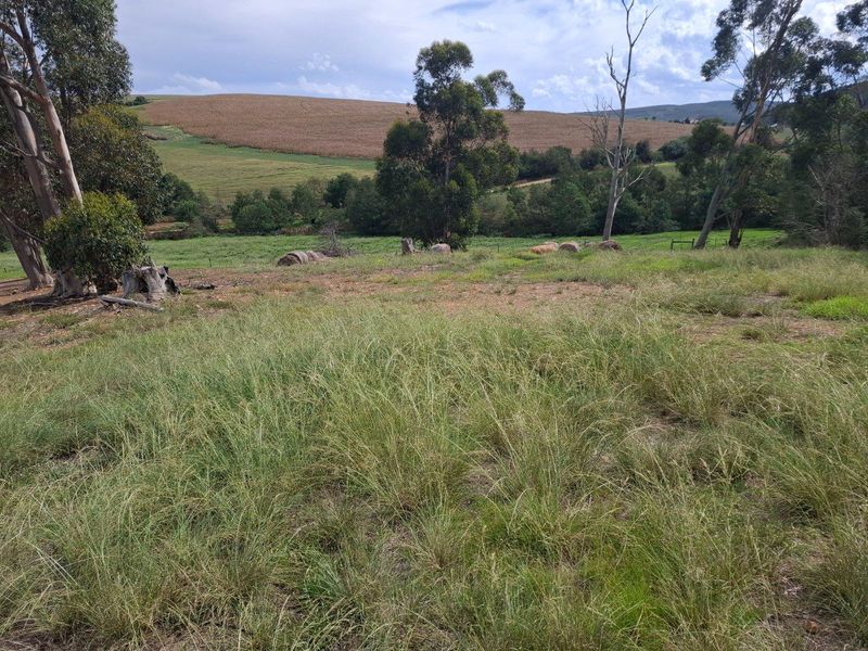 Farm For Sale in Riversdale Rural, Riversdale - Photo 5