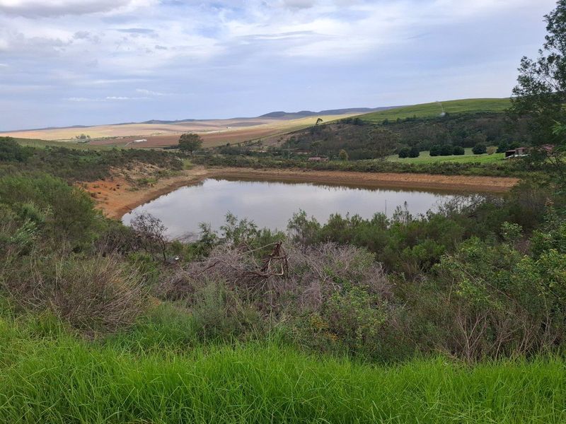 Farm For Sale in Riversdale Rural, Riversdale - Photo 4