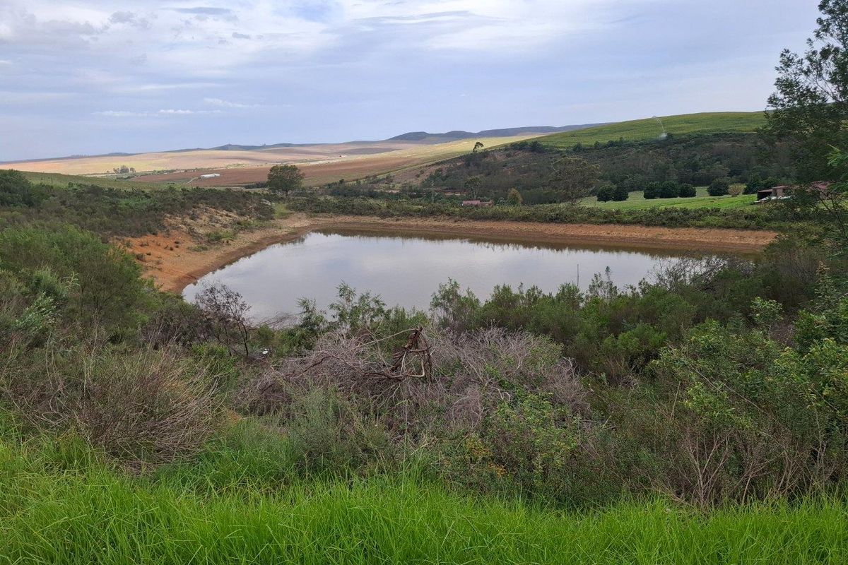 Farm For Sale in Riversdale Rural, Riversdale - Photo 4