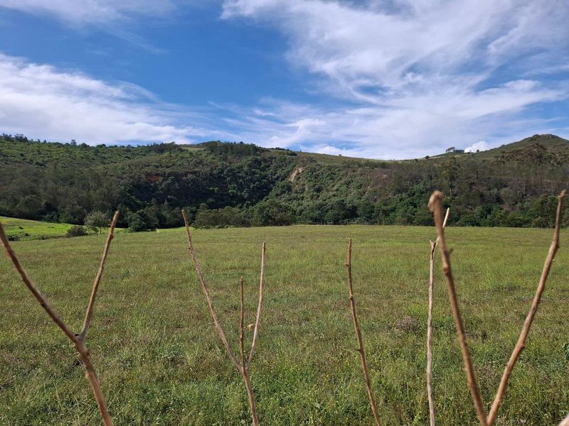 Farm For Sale in Riversdale Rural, Riversdale - Photo 9