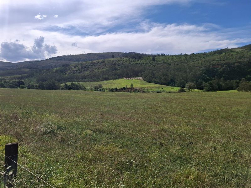 Farm For Sale in Riversdale Rural, Riversdale - Photo 10