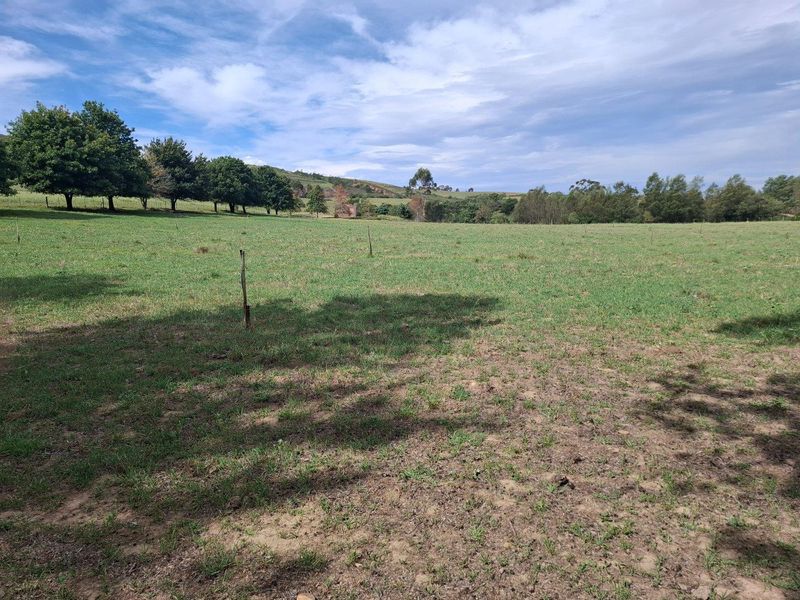 Farm For Sale in Riversdale Rural, Riversdale - Photo 8