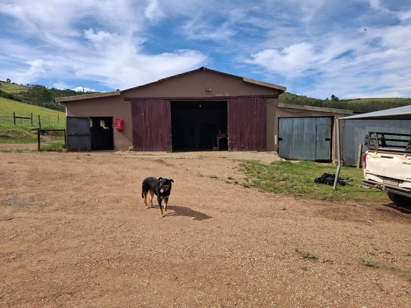 Farm For Sale in Riversdale Rural, Riversdale - Photo 3