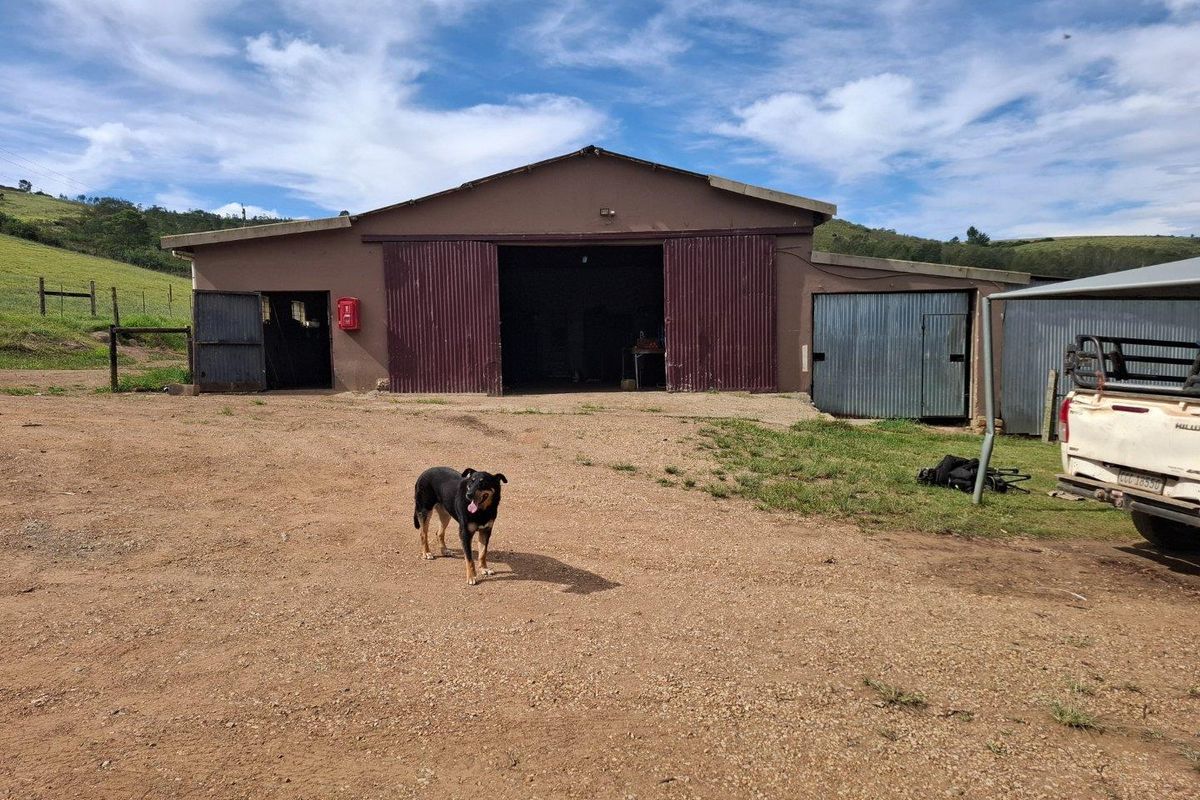 Farm For Sale in Riversdale Rural, Riversdale - Photo 3