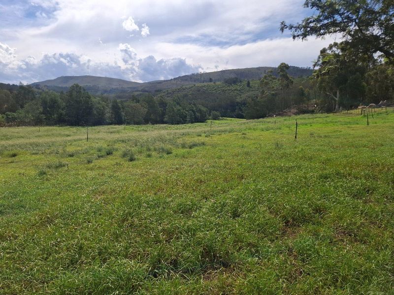 Farm For Sale in Riversdale Rural, Riversdale - Photo 7