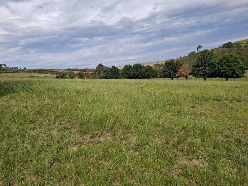 Farm For Sale in Riversdale Rural, Riversdale - Photo 6