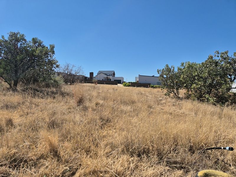 A view of a vacant residential plot featuring dry grass and native vegetation, with neighboring houses visible in the background.