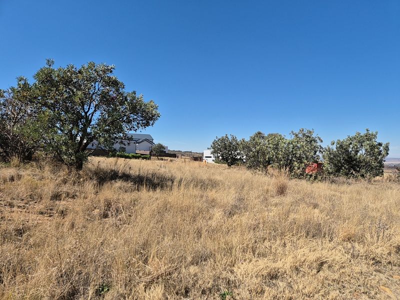 A view of a vacant residential plot featuring natural dry grass and established native trees under a clear blue sky.