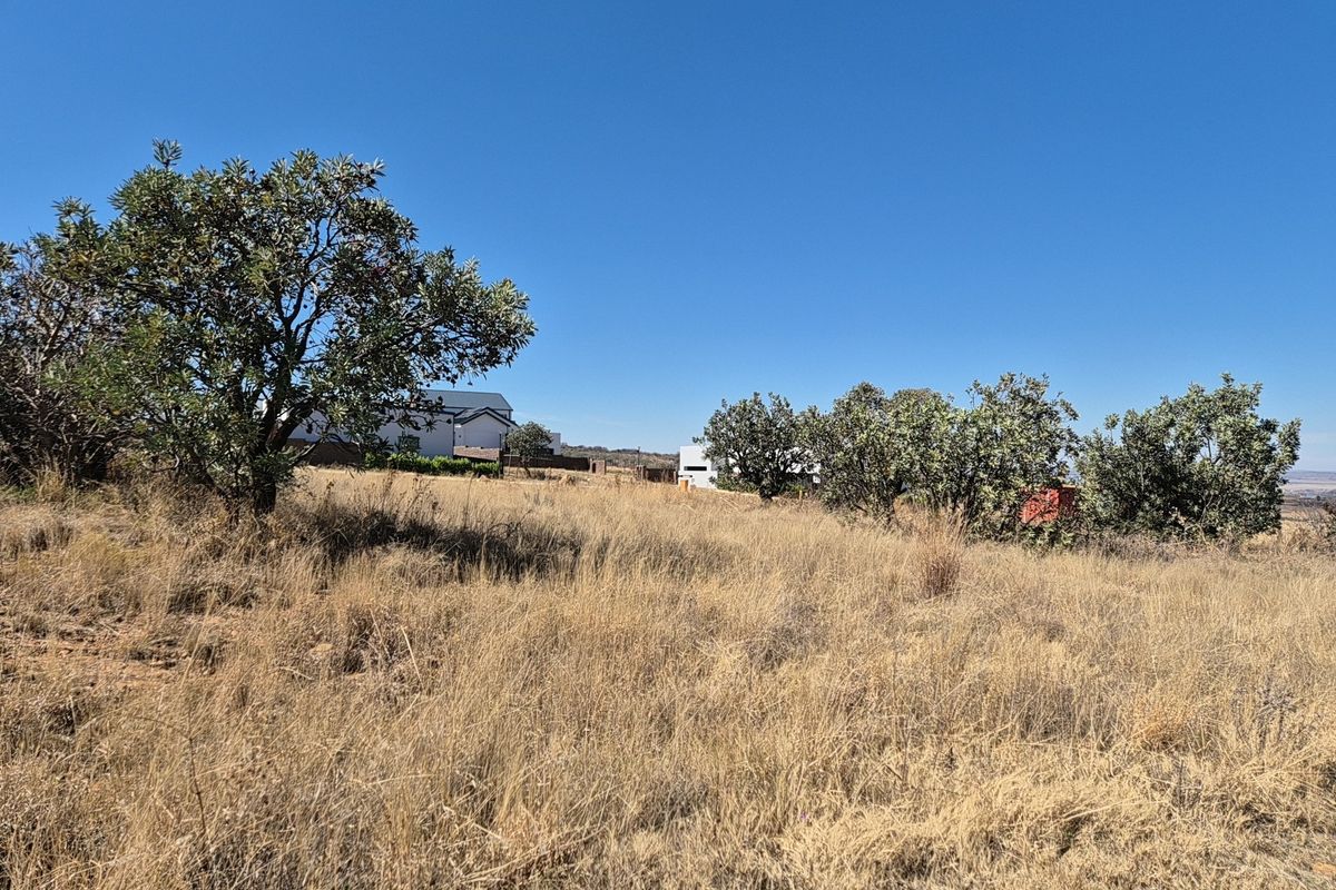 A view of a vacant residential plot featuring natural dry grass and established native trees under a clear blue sky.