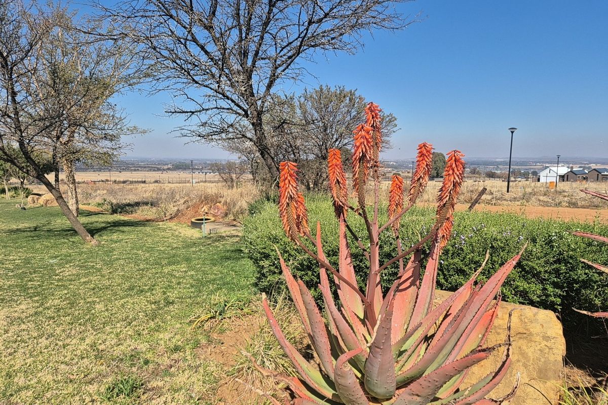 A well-maintained garden area featuring mature trees, established aloe plants, and a natural rock feature with expansive views of the surrounding landscape.
