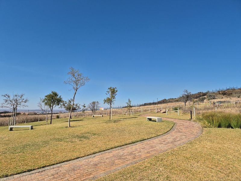 A well-maintained residential garden featuring a brick paved pathway, concrete benches, and established trees set against a clear blue sky.