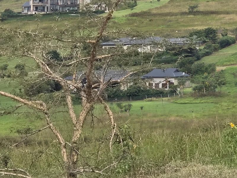 Prime 2499m2 Vacant Land in Intaba Ridge Eco Estate with Beautiful Scenic Outlook - Photo 10