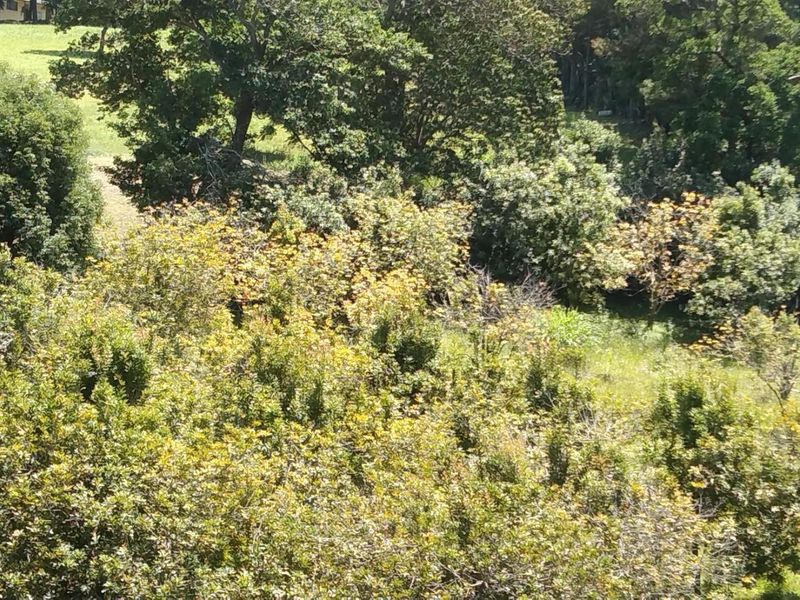 Prime Agricultural and Hospitality Opportunity. - Photo 10