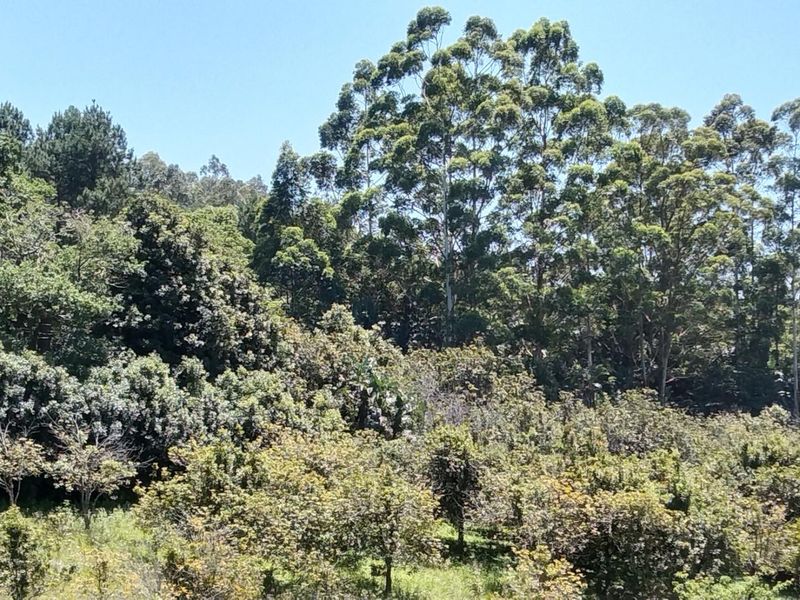 Prime Agricultural and Hospitality Opportunity. - Photo 7