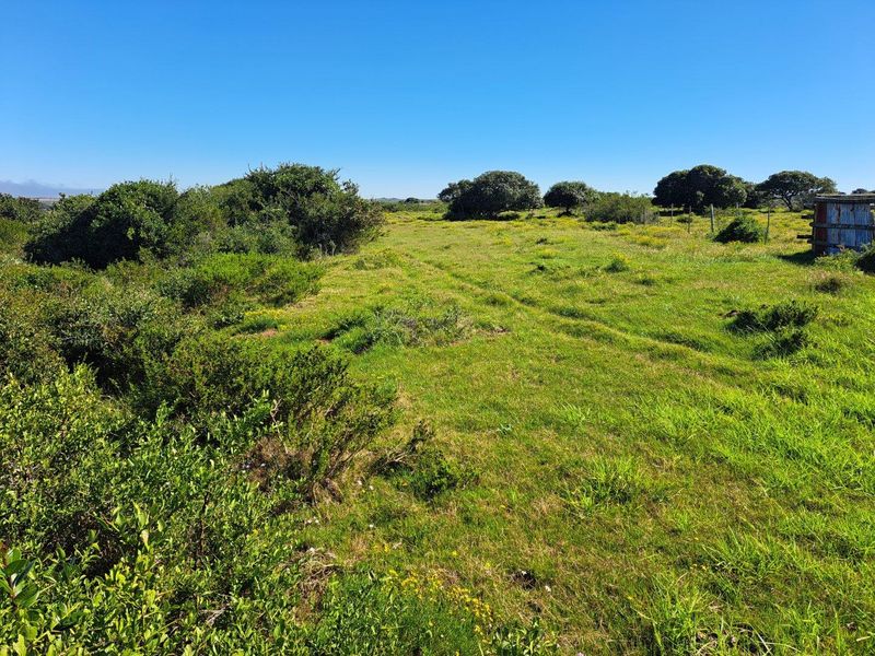 Farm For Sale in Stilbaai Rural, Stilbaai - Photo 6