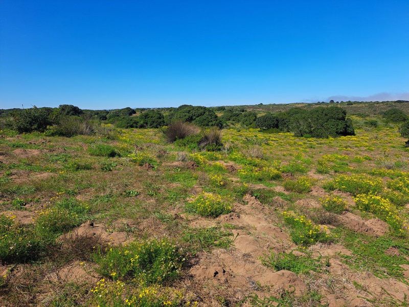 Farm For Sale in Stilbaai Rural, Stilbaai - Photo 10