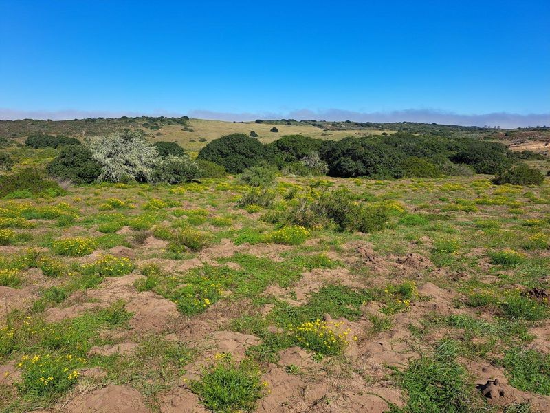 Farm For Sale in Stilbaai Rural, Stilbaai - Photo 9
