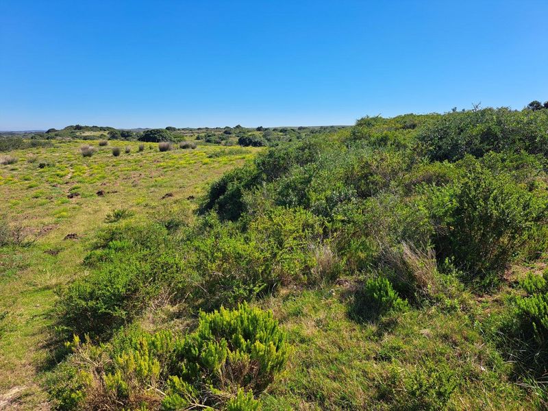 Farm For Sale in Stilbaai Rural, Stilbaai - Photo 8