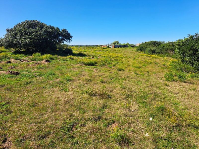 Farm For Sale in Stilbaai Rural, Stilbaai - Photo 7