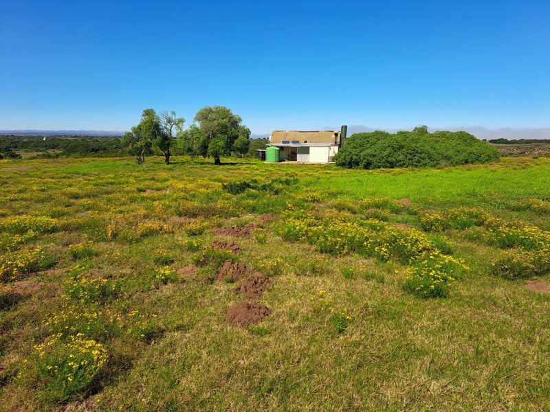 Farm For Sale in Stilbaai Rural, Stilbaai - Photo 2