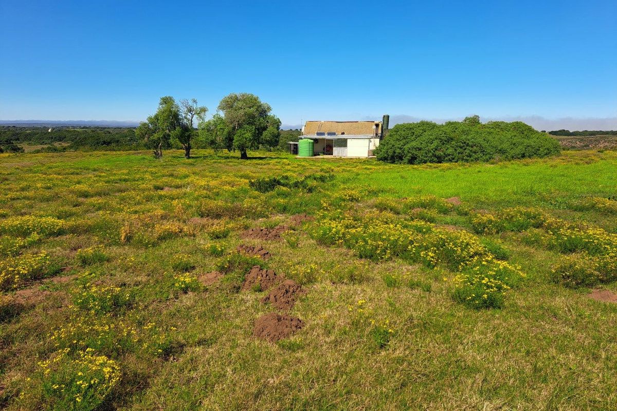 Farm For Sale in Stilbaai Rural, Stilbaai - Photo 2
